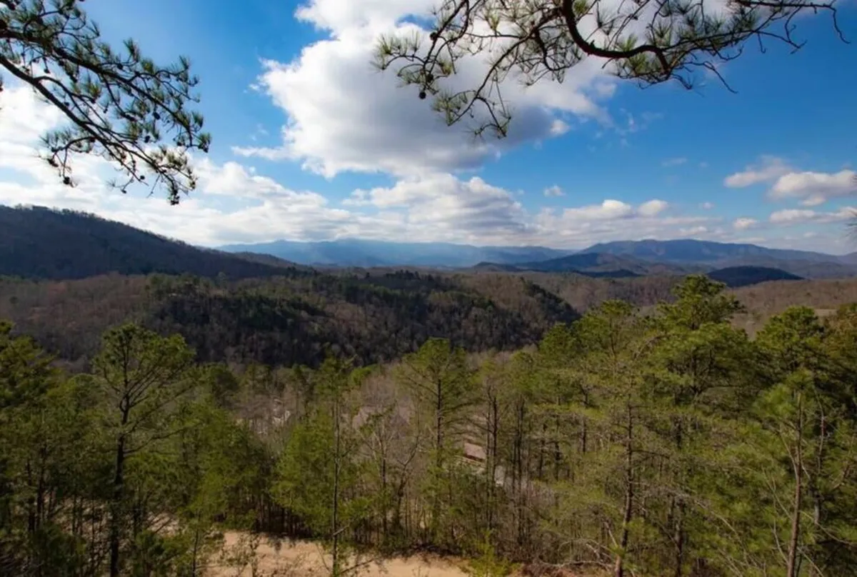 Expansive views of a mountain range stretch out beyond a dense forest under a cloud-filled sky. The scene is tranquil, hinting at hiking, bird watching, and immersive experiences in nature. The sunrise light suggests new possibilities and memorable days ahead.